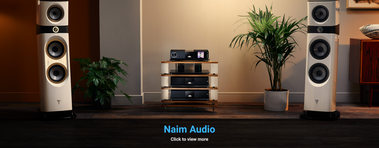 Naim Audio Page (1)